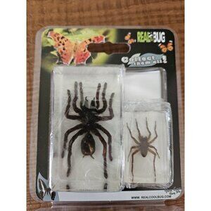 REALBUG 2 Pc Tarantula & Spider Paperweight Collection
